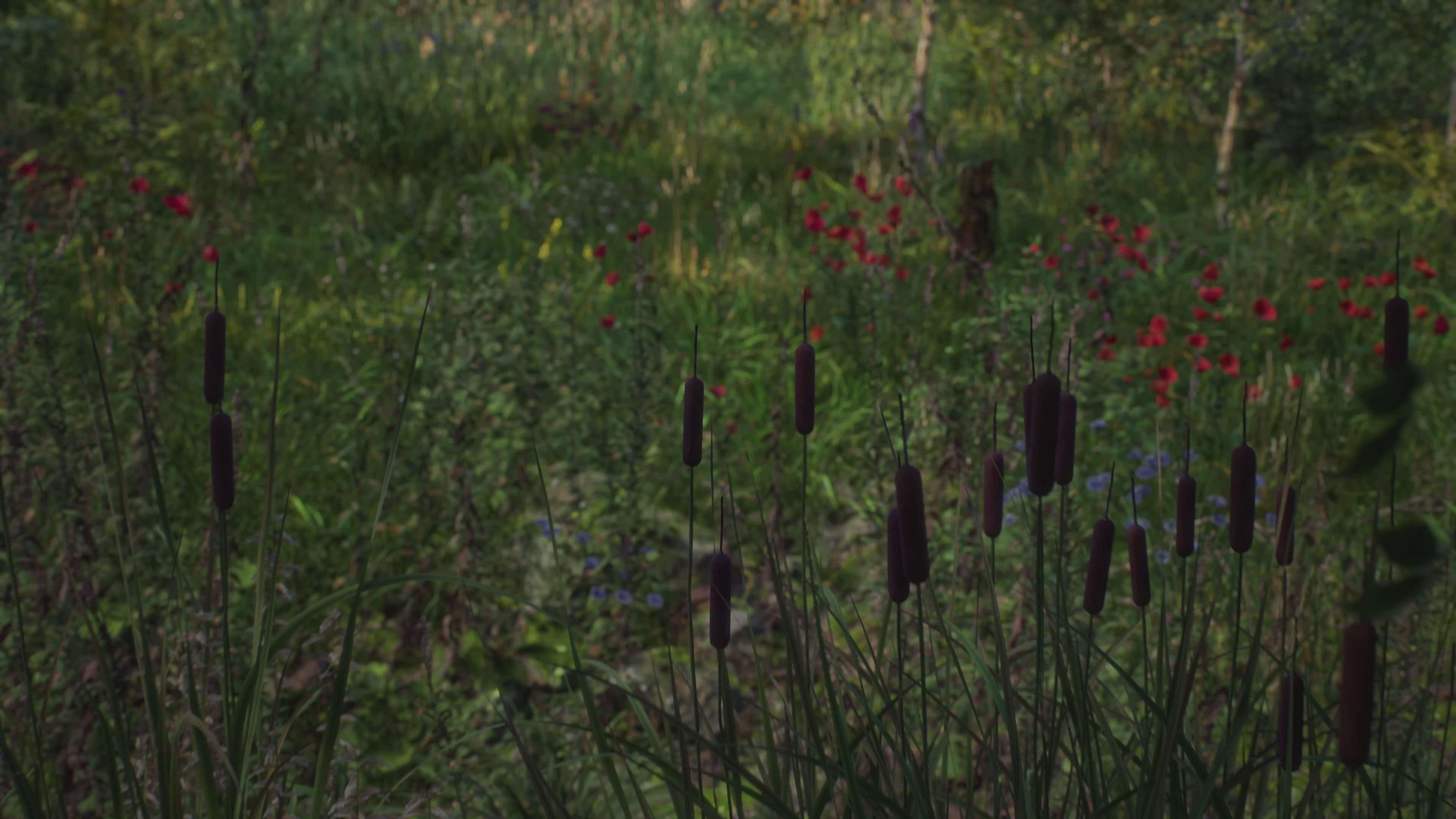 Load video: The VOID